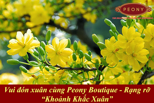 Vui đón xuân cùng Peony Boutique - Rạng rỡ Khoảnh Khắc Xuân